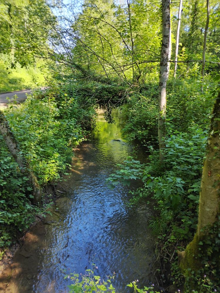 Le Ravin à Vy les Rupt