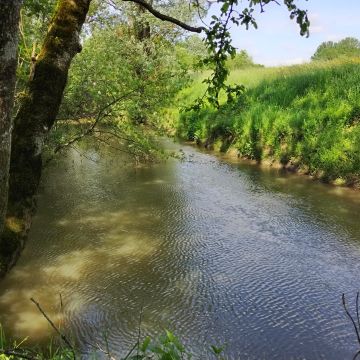 Etude du bassin versant de la Morthe