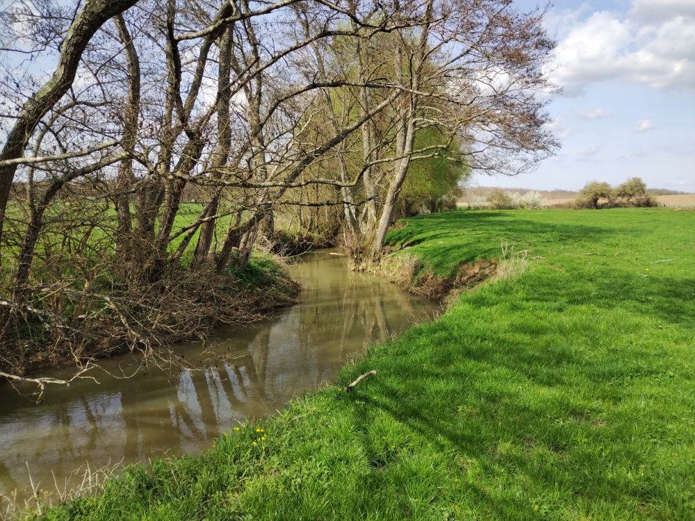 La Tenise à Esmoulin