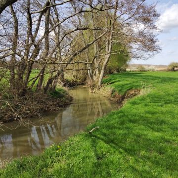 Étude globale des bassins versants des Petits affluents de la Saône et Tenise