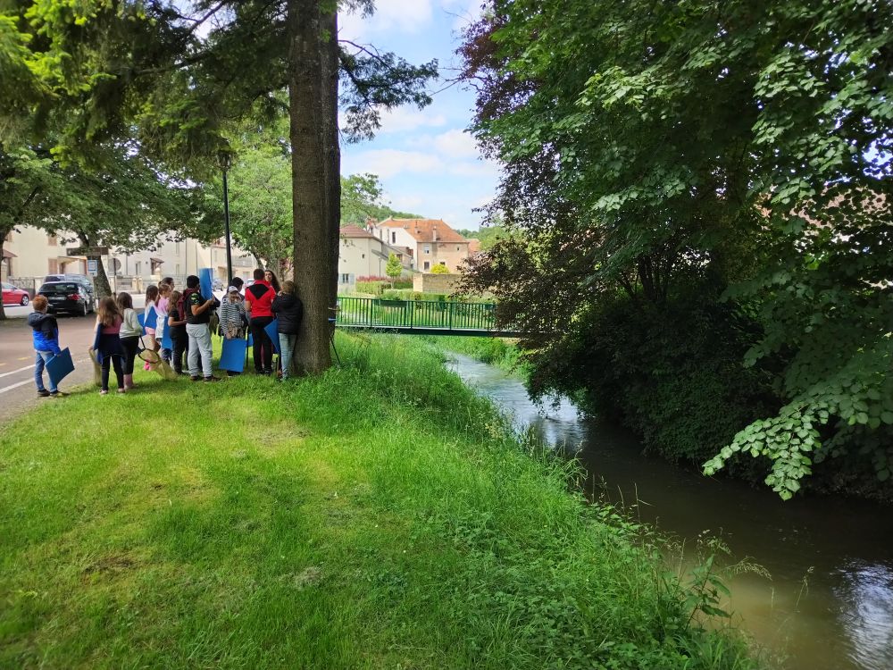 Animation scolaire au bord de la rivière