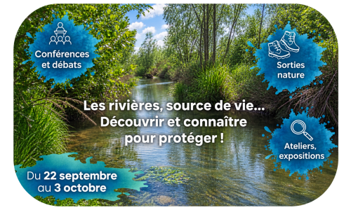 Comité de Rivières, Morthe, Romaine et PAS