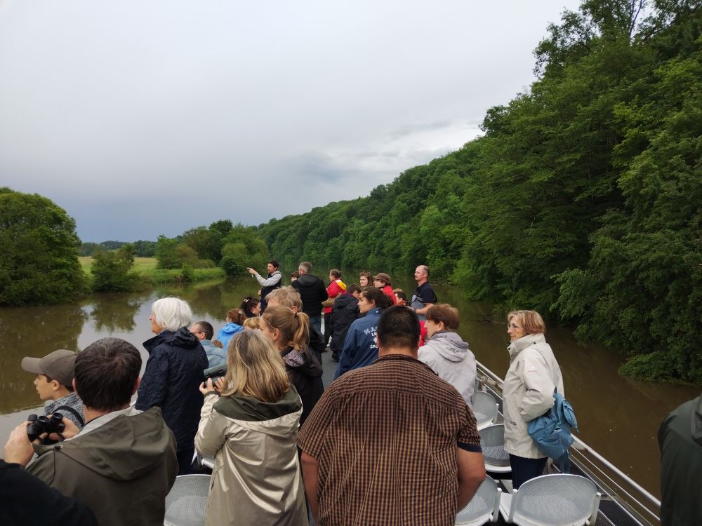 Croisière naturaliste sur la Saône