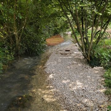 Restauration de la Colombine à Choye