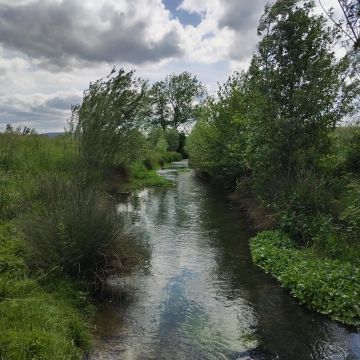 Restauration de la Morthe au lieu dit Moulin Jacquot