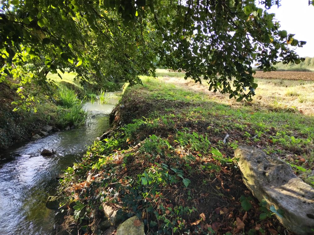 Les écoulottes à Oyrières